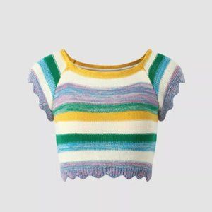 Rainbow Multicolor Striped Knit Crop SweaterTop